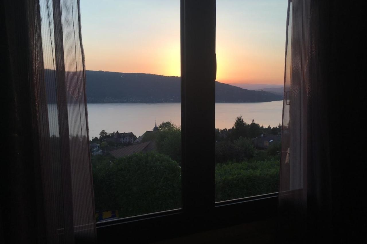 Maisonnette Vue Panoramique Lac D'Annecy Veyrier-du-Lac Exteriör bild